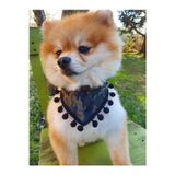 Loyal Friend Store Kamuflaj Desenli Köpek Fuları (20-35 Cm)