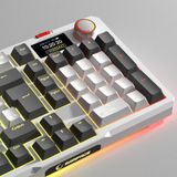 LOYAL Pro Gri/Siyah 3 BT + 2.4 IPS Ekranlı Red Switch RGB Mekanik Kablosuz Klavye