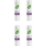 Lr Aloe Vera Dudak Koruyucu 4.8 gr 4'lü Set