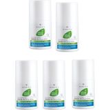 LR Aloe Vera Roll-On Deodorant Alkol İçermeyen Formül 50 ml x 5 Adet Gün Boyu Koruma