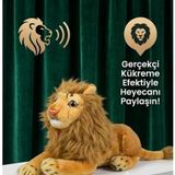 LRS Store 30 cm Sesli Peluş Aslan Oyuncak - Göbeğine Basınca Kükreyen, Yumuşak Dolgulu Taraftar Çocuk Hediye Peluş - turuncu