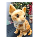 LRS STORE Süper Gerçekçi Peluş Kedi Sarman Orijinal Boy Yüksek Kalite Oyuncak Kedisi 32 CM