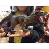 Lrs Store T-Rex Süper Gerçekçi Dinazor Trex Figür 30 cm Kapanıp Açılabilen Ağız Hediye Oyuncak Dinozor, Çok Renkli - standart