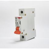 LS Bkn 1p C32 Otomatik Sigorta 6ka C Eğrisi 1x32A
