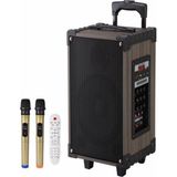 LT-912 Süper Bass Şarjlı Çift Mikrofonlu Hoparlör Karaoke Sistemi 100W Taşınabilir Parti Box
