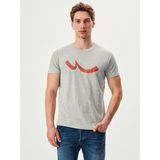 LTB 01222841606089 Gri Peyero Erkek T-shirt