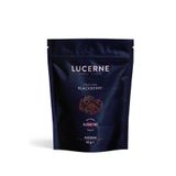 Lucerne 20 gr Dondurularak Kurutulmuş Böğürtlen