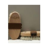 LUCIAS PROFESSIONAL %100 Doğal At Kılı Selülit Fırçası