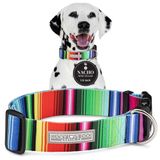Lucky Love Dog 1,5 İnç Geniş Yaka, Daha Büyük Başları ve Boyunları Olan Köpekler için Mükemmel Yaka, Orta Köpekler için 1,5 İnç Genişliğinde Köpek Tasması (Nacho, Medium)