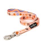 Lucy & Co. Tasarımcı Köpek Tasması - Evcil Hayvan Aksesuarları - Kalın Köpek Tasması - Konfor için Dolgulu Sap - Yeşil Çiçekli Mor - 5 Ayak (Mor Mercan Çiçeği, Küçük)