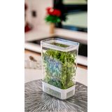 Ludia Vakum Kapaklı Sebze Yeşillik Saklama Kabı 2900 ml