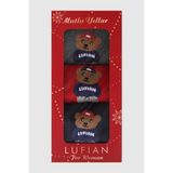 Lufian Bear 3'lü Set Kadın Çorap Standart