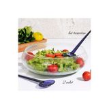 Lui Tasarım 2 li Cam Salata Sunum Kasesi Sofra Dekorasyon