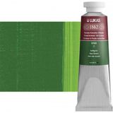 Lukas 1862 Seri 1 No 0165 Sap Green 37 ml Yağlı Boya