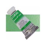 Lukas Aquarell 1862 1163 Permanent Green Seri 2 Artist 24 ml Sulu Boya