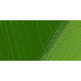 Lukas Terzia Yağlı Boya Sap Green 37 ml - Yeşil