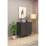 Lüks 4 Çekmeceli Şifonyer Komodin %100 Mdf Çok Amaçlı Düzenleyici Şf-02 Antrasit