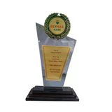 Lüks Cam Plaket - Büyük Boy Cam Plaket - Logolu Cam Plaket ( Gold)