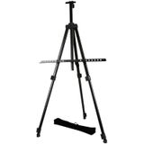 Lüks Naturel Alüminyum Metal Şovale 170 Cm