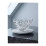 Lüks Sepeti DELI GLASS Water Lilies Cam Meyvelik 1040 ml Şeffaf Dekoratif Sunum ve Servis Kasesi