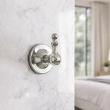 Lüks Tekli Askılık Gümüş Renk Duvara Monte Metal Havluluk Banyo Mutfak Vestiyer Askısı