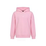 Lumberjack Erkek Çocuk Pembe Hoodie 10Y/11Y KIDS MISTY SWEATSHIRTS 6P Modeli