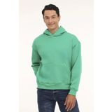 Lumberjack MB ROS 4PR Yeşil Erkek Sweatshirt 17HS109