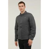 Lumberjack ML PERRY COAT 1SN21 5PR Gri Erkek Mont