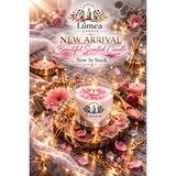 Lumea Candle Lúmea Papatya Mum – Kokusuz El Yapımı %100 Soya Wax Dekoratif Cam Mum (109 Gr) - 1 Adet