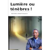 Lumière ou Ténèbres !: Comment la Persévérance Illumine le Chemin vers la Clarté