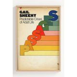 Lumiyo Retro Tasarım Çerçeveli Poster - Gail Sheehy Predictable Crises of Adult Life