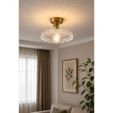 Luna Lighting Roma Model Şeffaf Cam Klasik Salon Balkon Mutfak Oturma Odası Plafonyer Tekli Avize