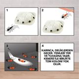 Lunaev Raid 2 Parça Karınca Yemi Haşere Ilacı