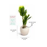 Lunalore Dekoratif Küre Fiber Beton Görünümlü Dokulu 70 CM Modern Saksı Tasarımı Yapay ve Canlı Bitki Uyumlu