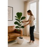 Lunalore Fiber Beton Görünümlü Dokulu Dekoratif Avize Saksı – 30 cm | Modern Tasarım Yapay & Canlı Bitki Uyum