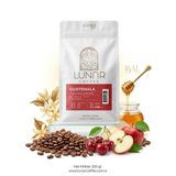 Lunar Coffee Guatemala Huehuetenengo SHB/EP Yöresel Çekirdek Kahve 250 g - Orta Kavrum, Elma, Kiraz ve Bal Notalı Gurme Kahve Çekirdeği