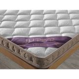 Luper Tek Kişilik Ortopedik Yatak Pedi 8 cm Yüksek Pamuk Kumaşlı Sünger Dolgulu Rahat Tasarım - 90 x 190 cm