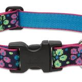 Lupine Ayarlanabilir Köpek Tasması - S/Large - Çiçek Gücü Deseni - 30,48 cm - 50,8 cm