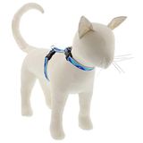 Lupine Yansıtıcı Kedi ve Küçük Evcil Hayvan H Tarzı Koşum Takımı 12 inç ila 50 cm Ayarlanabilir Eyer ile 1/2 inç Geniş Mavi Patiler