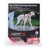 LupinePet Basics 1" Pembe 26-38" Orta Büyük Köpekler için Çekme Koşum Takımı Yok