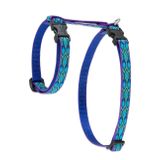 LupinePet Orijinal 1,27 cm Yağmur Şarkısı 30,48-50,8 cm H Tarzı Koşum Takımı Küçük Evcil Hayvanlar İçin