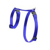 LupinePet Temel Bilgiler 1/2 "Mavi 9-14" Küçük Evcil Hayvanlar için H-tarzı Koşum Takımı