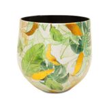Lush Botanic L Saksı