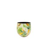 Lush Botanic S Saksı