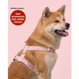 Lusi Doog Güvenlik Amaçlı Numaralı İsimli Köpek Göğüs Tasması Kişiye Özel Göğüs Tasması I Küçük ve Orta Irk Köpekler I Renk Seçenekli (Kalp Desenli, XL)