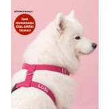 Lusi Doog Güvenlik Amaçlı Numaralı İsimli Köpek Göğüs Tasması Kişiye Özel Göğüs Tasması I Küçük ve Orta Irk Köpekler I Renk Seçenekli (Pembe, XL)