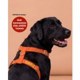 Lusi Doog Güvenlik Amaçlı Numaralı İsimli Köpek Göğüs Tasması Kişiye Özel Göğüs Tasması I Küçük ve Orta Irk Köpekler I Renk Seçenekli (Turuncu, S)