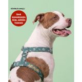 Lusi Doog Güvenlik Amaçlı Numaralı İsimli Köpek Göğüs Tasması Kişiye Özel Göğüs Tasması I Küçük ve Orta Irk Köpekler I Renk Seçenekli (Yeşil Desenli, M)