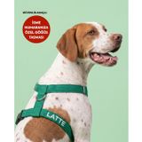 Lusi Doog Güvenlik Amaçlı Numaralı İsimli Köpek Göğüs Tasması Kişiye Özel Göğüs Tasması I Küçük ve Orta Irk Köpekler I Renk Seçenekli (Yeşil, S)