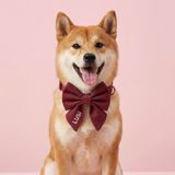 Lusi Doog İsme Özel Dişi Köpek Papyonu ve Boyun Tasması İsimli Papyonlu Tasma Papyon Seti I Küçük, Orta ve Büyük Irk Köpekler I Renk Seçenekli (Bordo, M)